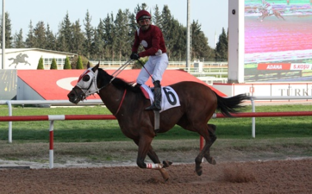 Adana Büyükşehir Belediye Başkanlığı Koşusu'nun Kazananı Superbella Oldu