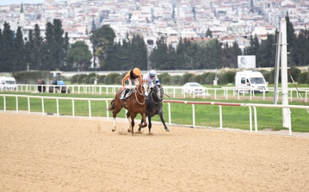 İzmir Büyükşehir Belediye Başkanlığı Koşusu'nu Üst Üste İkinci Kez Wardenclyfee Kazandı