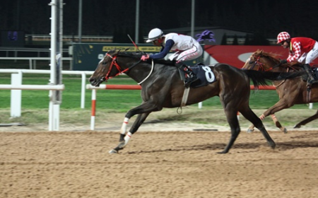 Halis Kökbudak Koşusu'nun Galibi Mavi Topaz Oldu