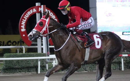 Müslüm Tumbul Koşusu'nun Galibi Hedbe Oldu