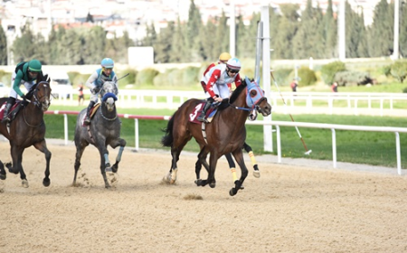 Francesco Sponza Koşusu'nun Galibi Brave Champion Oldu