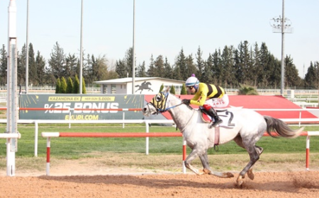 Yeşiloba Koşusu'nun Galibi Beyazışık Oldu