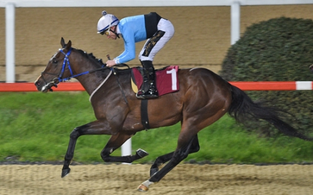 Sedat Özcan Koşusu'nun Galibi Ballad King Oldu