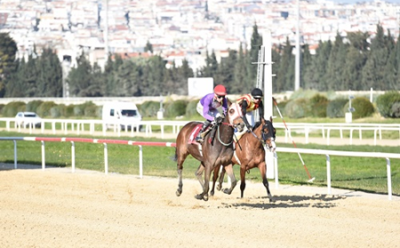 Aktan Bayrak Koşusu'nun Galibi Pehlivan Yıldızı Oldu