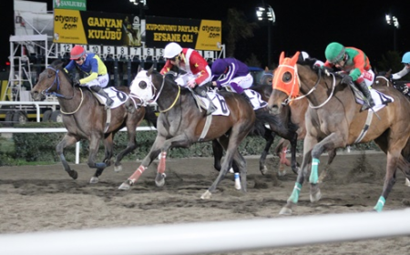 Uluslararası Şanlıurfa Büyükşehir Belediye Başkanlığı Koşusu'nu Dar Sokak kazandı
