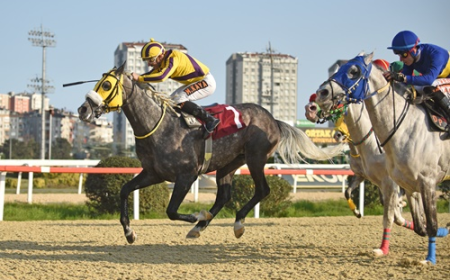 Kenan Atan Koşusu'nun Galibi Ak Filozof Oldu