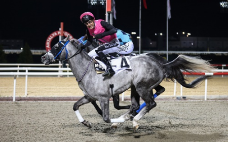 Antalya Vali Koşusu'nda Zafer Günötesi'nin Oldu