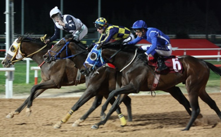 12. Kadına Şiddete Hayır Koşusu'nda Zafere Hood River Ulaştı