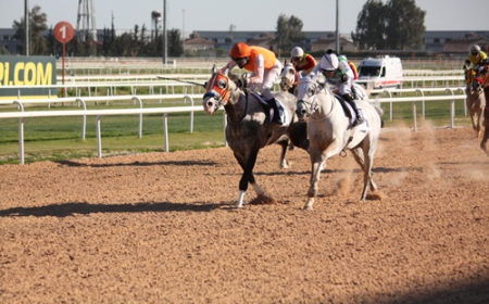 Adana Vali Koşusu'nda Zafere Sergökçe Uzandı