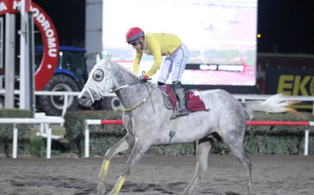 Suruç Kaymakamlığı Koşusu'nun Galibi Aslan Hatip Oldu