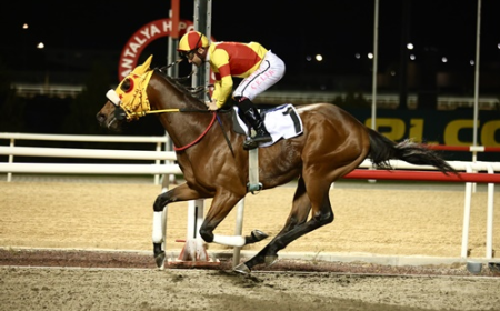 Antalya Büyükşehir Belediye Başkanlığı Koşusu'nun Kazananı Bay Nalçakan Oldu