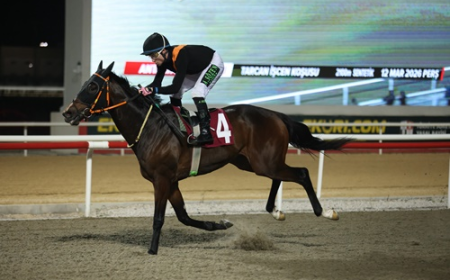 Tarcan İşcen Koşusu'nda Zafere Lost King Ulaştı