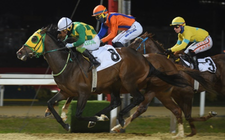 Galata Kulesi Koşusu'nda Zafere Magic Weapon Ulaştı