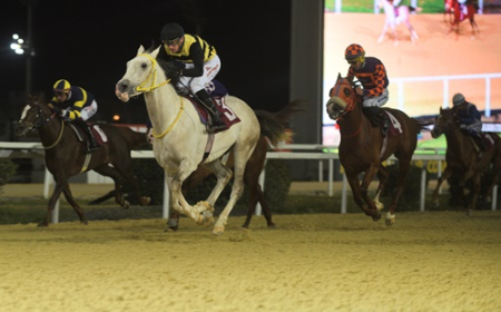 Orhan Tanatar Koşusu'nda Zafere By Türkoğlu Ulaştı