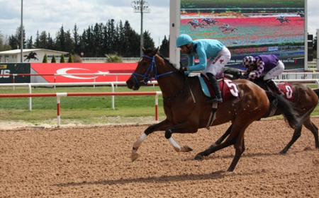 Kemal Özekici Koşusu'nda Zafer Prenses Sylvester'ın Oldu