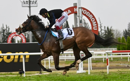 Tendürek Koşusu'nda Zafere Massimo Supremo Ulaştı