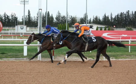 Sarıçam Belediye Başkanlığı Koşusu'nda Zafer Money Well Spent'in Oldu