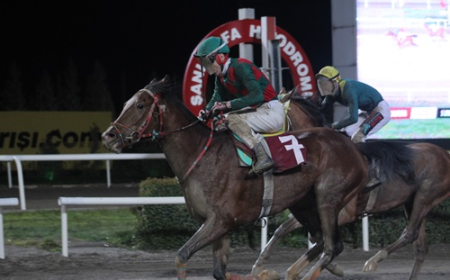 Siverek Belediye Başkanlığı Koşusu'nun Kazananı Payidar Kaya Oldu