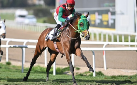 Fevzi Lütfi Karaosmanoğlu Koşusu'nda Zafere Kralın Dansı Ulaştı