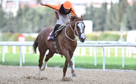 Sadık Giz Koşusu'nda Wardenclyffe'den 3. Zafer!