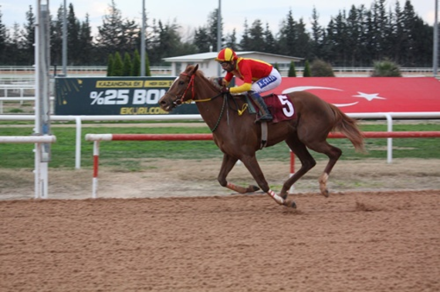 Osmaniye Belediye Başkanlığı Koşusu'nda Zafer Syntagma'nın Oldu