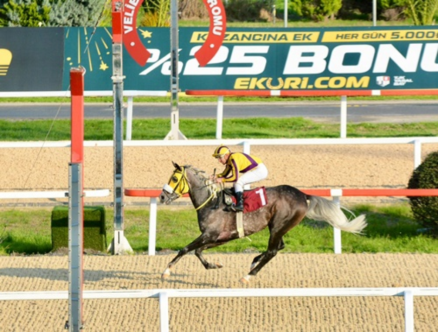 Münir Köseoğlu Koşusu'nu Üst Üste İkinci Kez Ak Filozof Kazandı