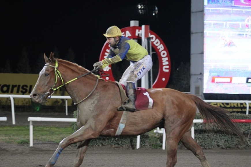 Akçakale Belediyesi Koşusu'nun Galibi Bogota Oldu