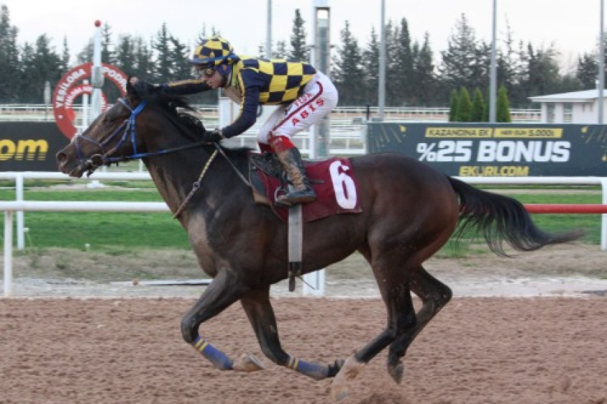 M. Fehmi Dinkçioğlu Koşusu'nun Galibi Percy Jackson Oldu