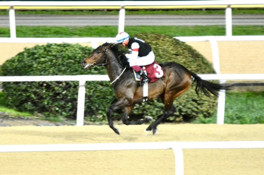 Özkan İşgüden Koşusu'nu Hope Breeze kazandı