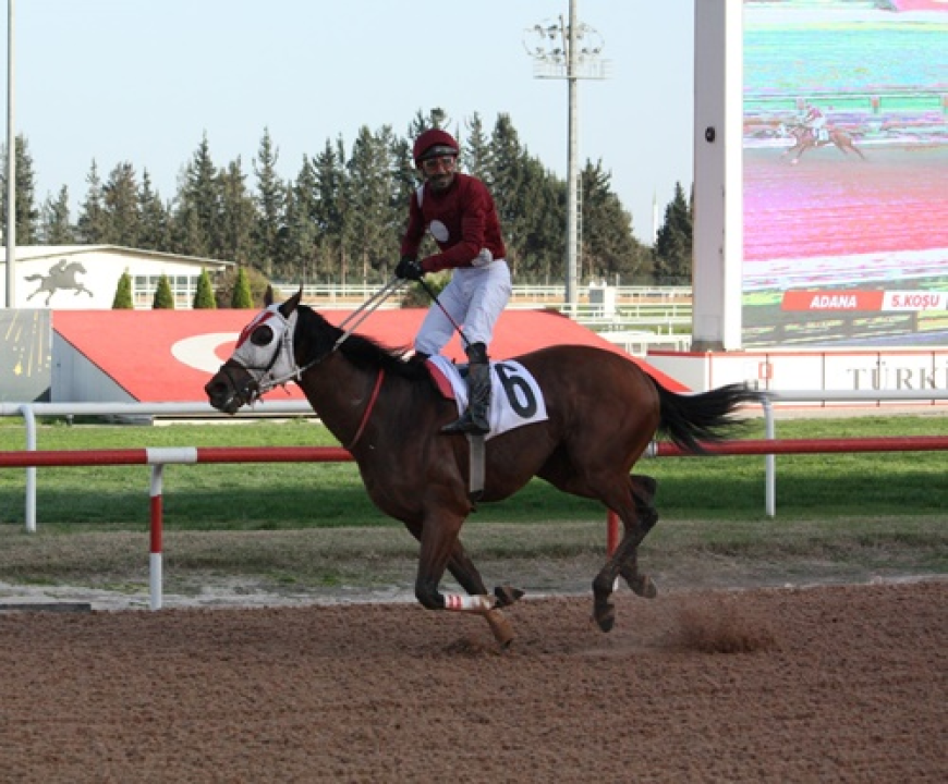 Adana Büyükşehir Belediye Başkanlığı Koşusu'nun Kazananı Superbella Oldu