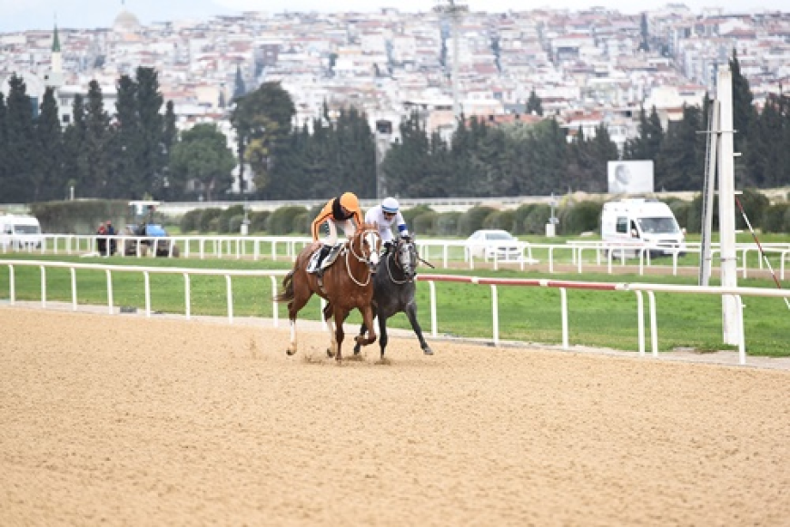 İzmir Büyükşehir Belediye Başkanlığı Koşusu'nu Üst Üste İkinci Kez Wardenclyfee Kazandı