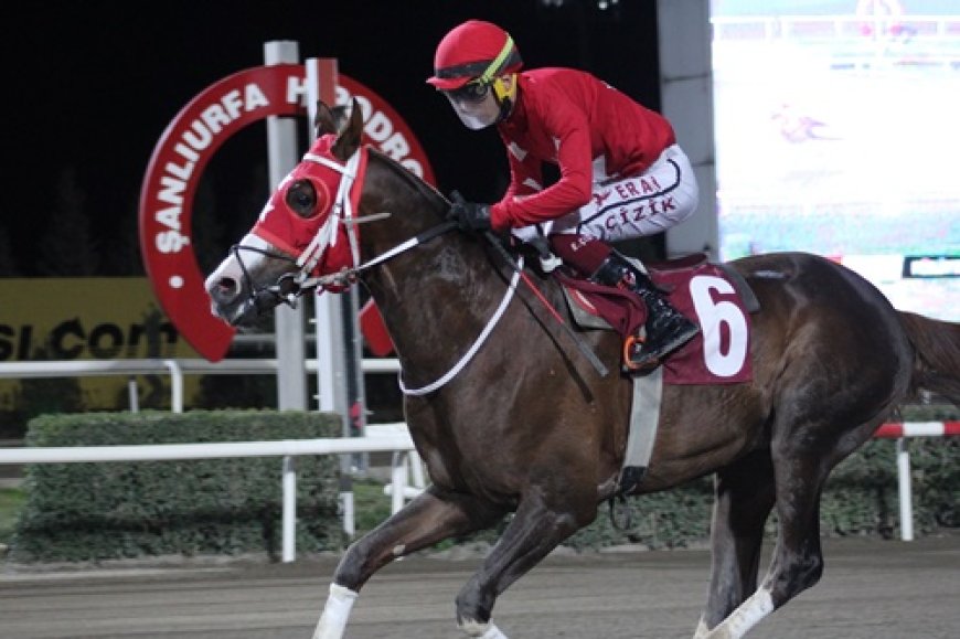 Müslüm Tumbul Koşusu'nun Galibi Hedbe Oldu