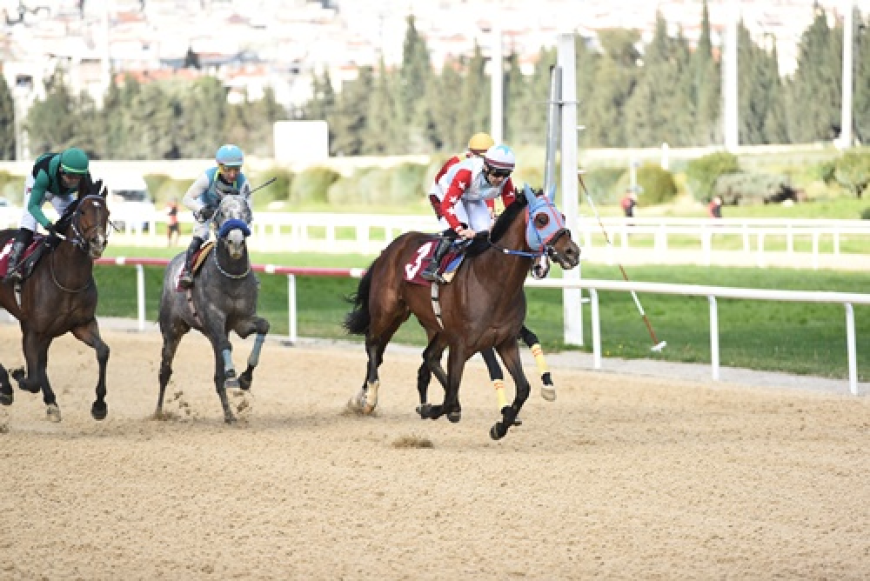 Francesco Sponza Koşusu'nun Galibi Brave Champion Oldu
