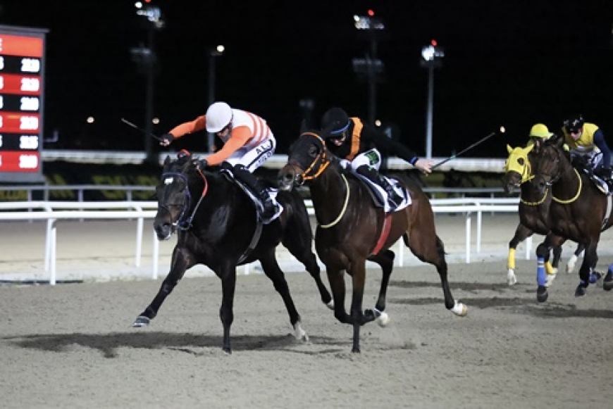 Uluslararası Düden Şelalesi Koşusu'nun Galibi Captain Fantastic Oldu