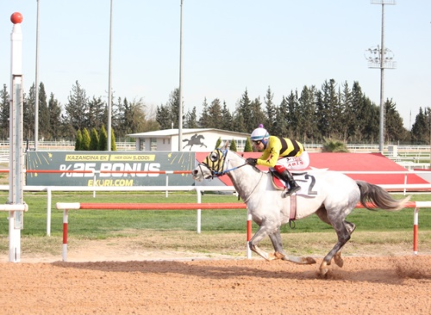 Yeşiloba Koşusu'nun Galibi Beyazışık Oldu