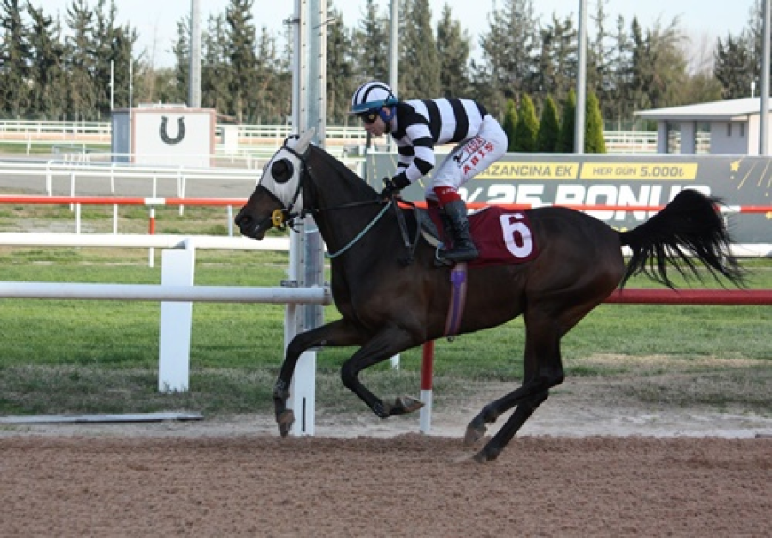 Adana Veteriner Hekimler Odası Koşusu'nun Galibi Frozen Love Oldu