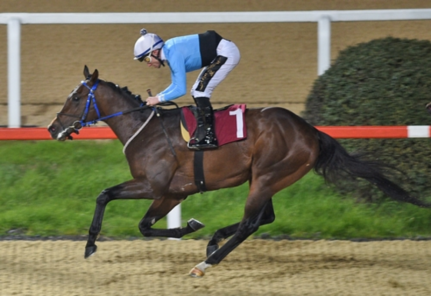 Sedat Özcan Koşusu'nun Galibi Ballad King Oldu