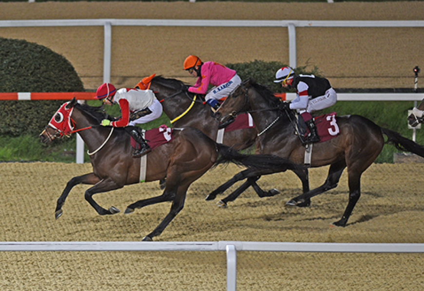 Gültekin Alpay Koşusu'nda Zafer Dagmar'ın Oldu