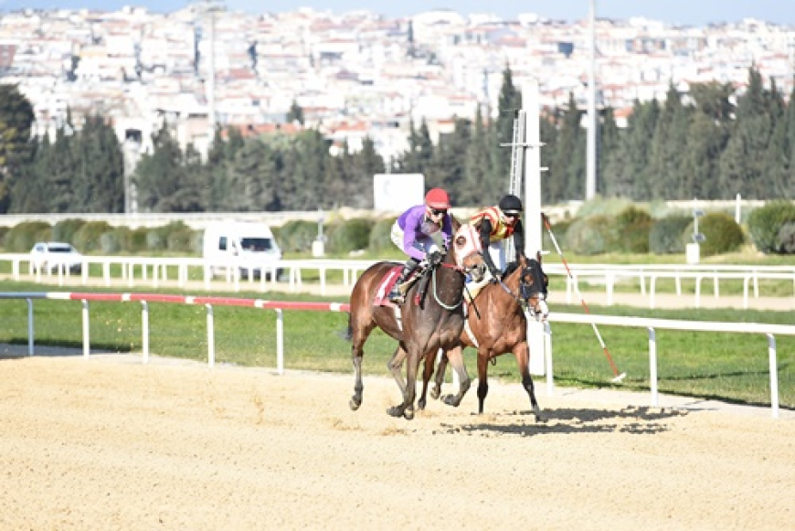 Aktan Bayrak Koşusu'nun Galibi Pehlivan Yıldızı Oldu