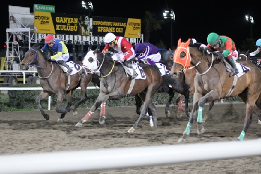 Uluslararası Şanlıurfa Büyükşehir Belediye Başkanlığı Koşusu'nu Dar Sokak kazandı