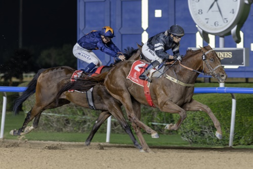 Profitable'ın Temsilcisi El Nasseeb'den G3 Mahab Al Shimaal Zaferi