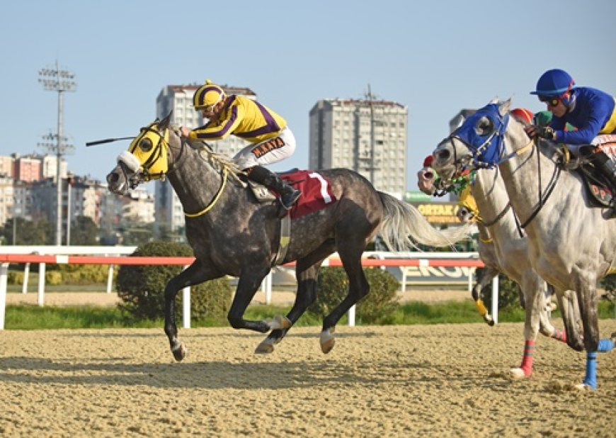 Kenan Atan Koşusu'nun Galibi Ak Filozof Oldu
