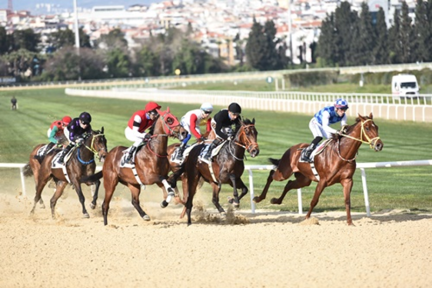 Fehmi Simsaroğlu Koşusu'nda Zafere Almighty Esprit Ulaştı