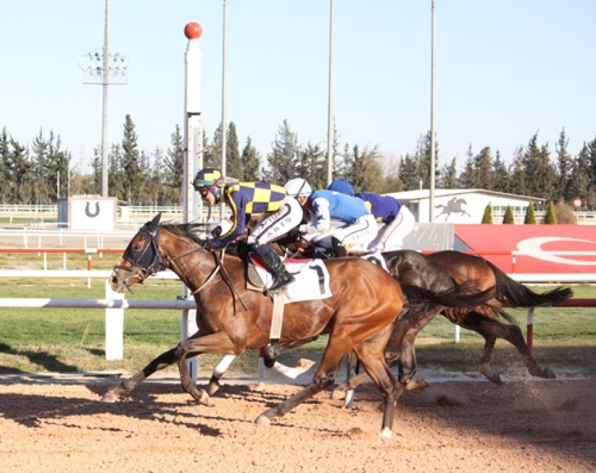 Uluslararası Karacaoğlan Koşusu'nda Zafer Bayır Efe'nin Oldu
