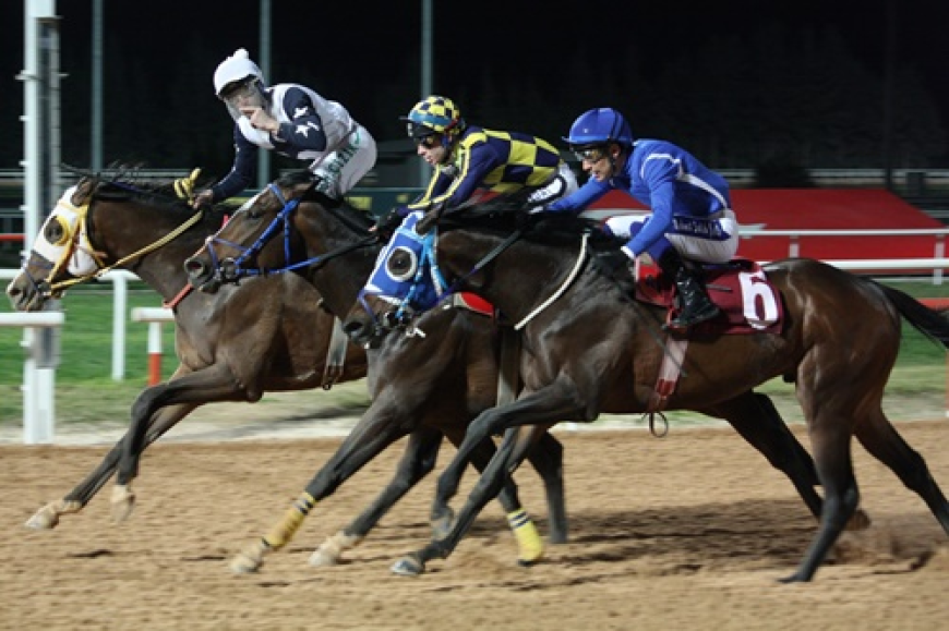 12. Kadına Şiddete Hayır Koşusu'nda Zafere Hood River Ulaştı