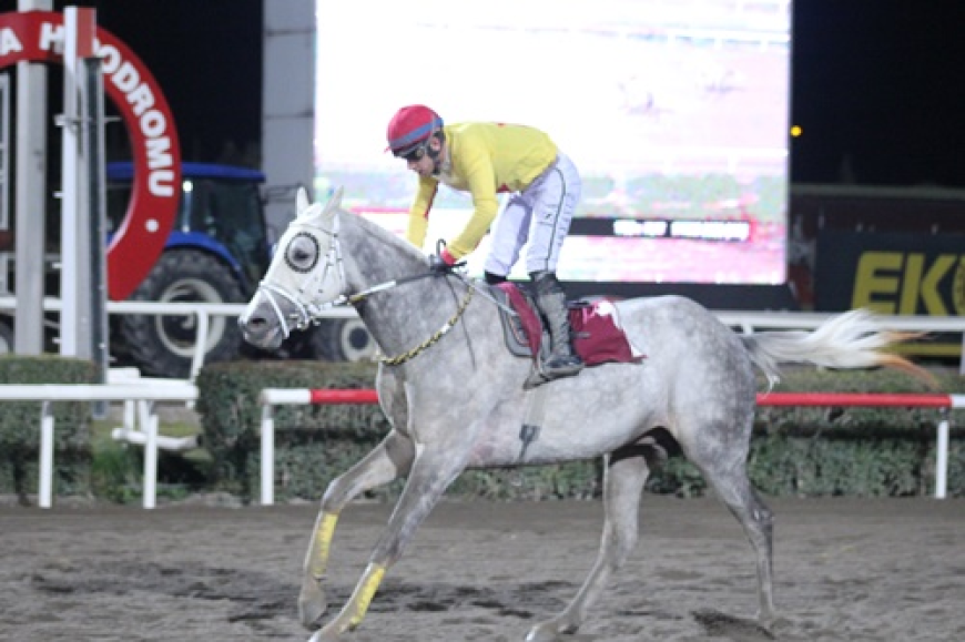 Suruç Kaymakamlığı Koşusu'nun Galibi Aslan Hatip Oldu