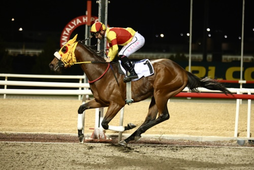 Antalya Büyükşehir Belediye Başkanlığı Koşusu'nun Kazananı Bay Nalçakan Oldu