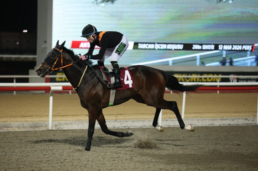 Tarcan İşcen Koşusu'nda Zafere Lost King Ulaştı