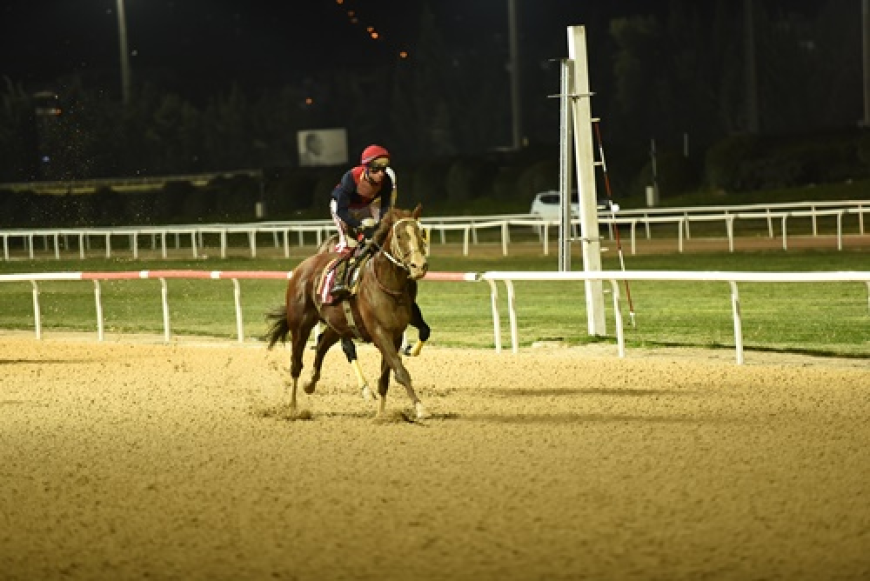 Osman Kapani Koşusu'nda Zafer Fleximan'ın Oldu