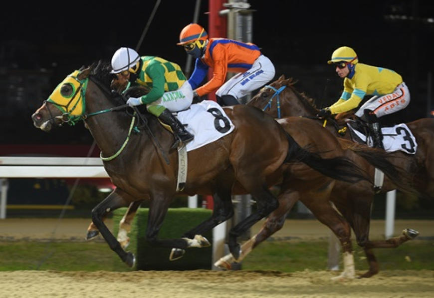 Galata Kulesi Koşusu'nda Zafere Magic Weapon Ulaştı